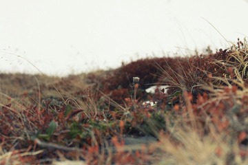 《苍茫1》a 11－10－14 长白山.jpg