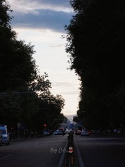 6ED1358C-E9E3-4586-AFE9-BC6CECC9381C/L0/001