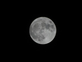 12D464C4-86CB-425F-9C6B-FBD86675395D/L0/001