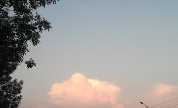 68