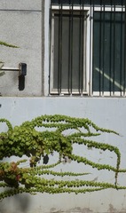 B0536B8F-62D0-4085-8001-ABD0DE7C68A6/L0/001