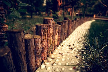 DPP_0193.JPG