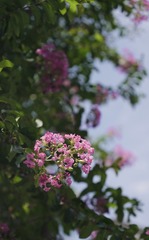 C08A61F8-FA3E-4E85-A243-4B94A85482D7/L0/001