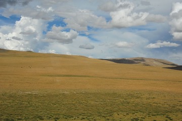 RYZ_9171