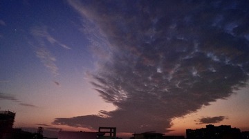 B65B5007-6A21-4389-88B5-B528087D31FF/L0/001