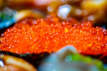 WZB_9766