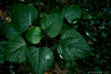 00CA6AE4-C430-4393-BCE4-F6C58028F764/L0/001