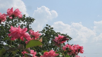 A33292B9-6F70-4318-A12E-0186324A2944/L0/001