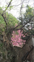 A39ED0F4-EF4F-41F5-84A8-A3DCEB287EE9/L0/001