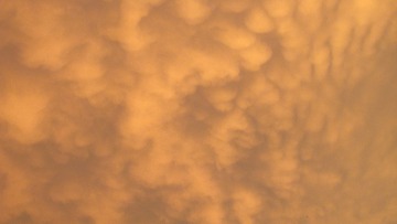 66D39757-3B0B-4E7C-A5D1-7DC6D44E409B/L0/001