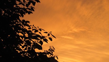 4148938C-C610-48E1-8CA3-001F8D122698/L0/001