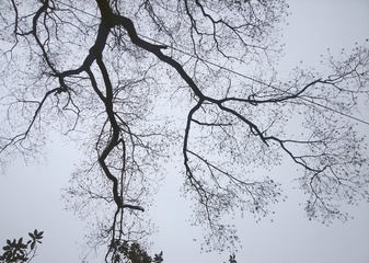 1261206