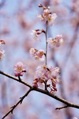 8769E4CB-8F52-459C-A634-7F1DB816EF0E/L0/001