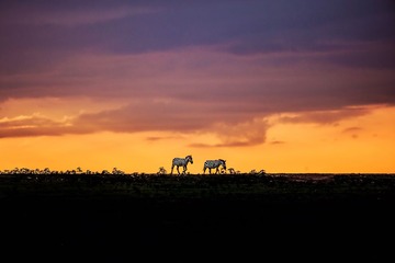 _SA_7895