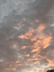 D3CF9DD4-20D7-49FE-8311-0D5FB53A776B/L0/001