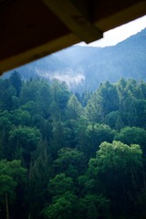 D6B2F348-6BFC-4CF4-BBAF-96F67FC77003/L0/001