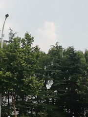 2794844