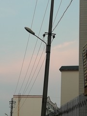 2794851