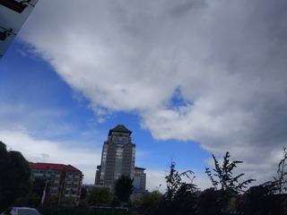 C064AA12-3D55-43E4-8247-C9EFBFA45CB1/L0/001