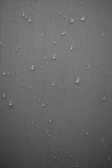 D4C71CA6-C0F4-4B7A-B8FC-71AC755E75E1/L0/001
