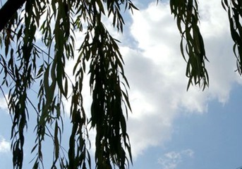 DSC02086_副本_副本_副本