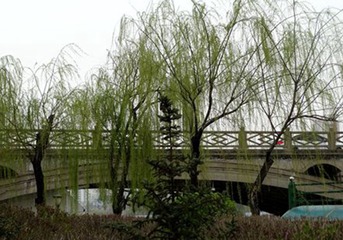 DSC09164_副本_副本_副本