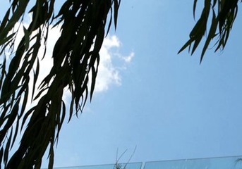 DSC02102_副本_副本_副本