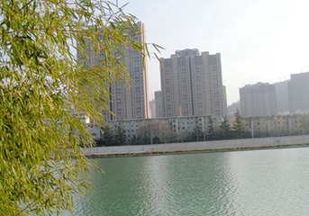 PICT0032_副本_副本