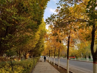 18107174-DF02-4464-A824-29CC460D9BA6/L0/001