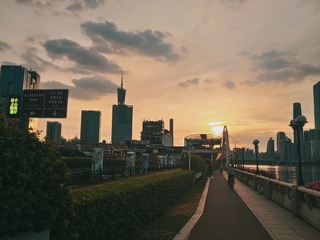 3146861