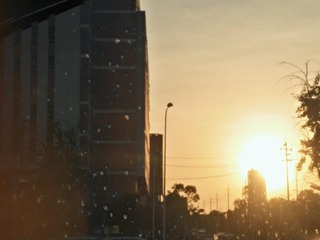 2261420