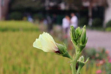 CCE00ED2-CBC6-4DA8-B558-74510CF1C253/L0/001