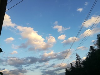 1595117
