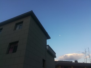 1562425