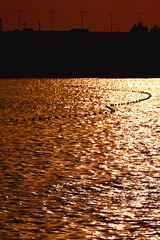1B56122D-9EBA-4F19-B7D5-78EF5F7184F4/L0/001