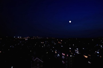 DSC_1923.jpg