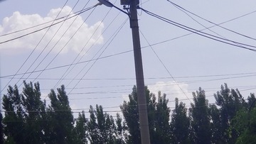 16509