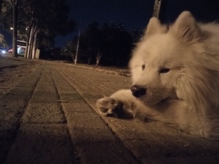 1102829