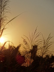 E30F27BD-6F1A-45D3-B29C-BB5C6AB4C7E5/L0/001