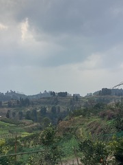E60FA233-B694-4D94-B49E-46B6463F6B4C/L0/001
