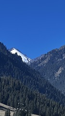 8EE590D7-16D8-4392-9F97-A560E6456007/L0/001