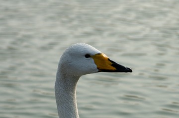 79646