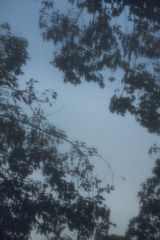 5A07F32B-E8CE-4967-A165-81E585CA1E3B/L0/001