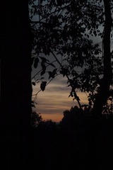 42F69D1F-B674-4AA6-A4BD-3CEE27B816EB/L0/001