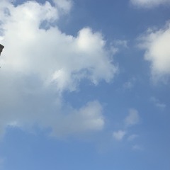 5C0D0CEE-A5E3-4715-B80D-0AAB59502A39/L0/001