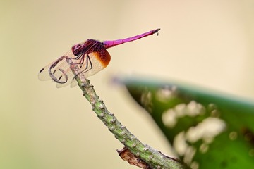 113201