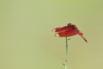 90770