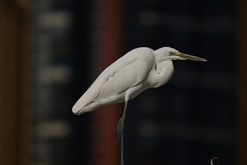 99218