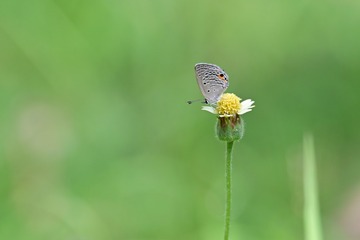 91275