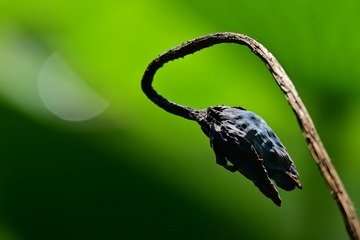 86941